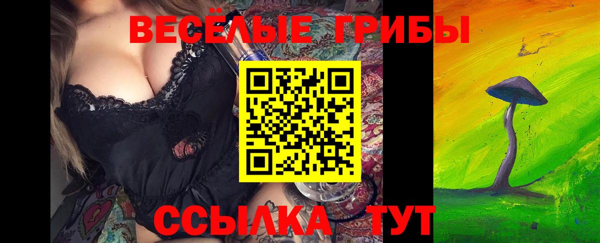 Рубцовск  Псилоцибиновые грибы MAGIC MUSHROOMS  Вход с VPN 